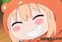 诺姐和小埋爆料最新