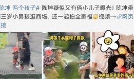 爆料娱乐圈俩孩子的小说,娱乐圈双宝的甜蜜成长