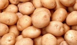 卒迹在线观看土豆,揭秘卒迹在线观看背后的精彩故事