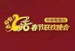 春节爆料视频新闻报道,独家视频新闻报道带你领略传统与现代的碰撞