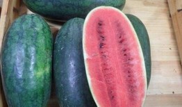 山东两位网红吃瓜视频曝光,揭秘娱乐圈惊人内幕